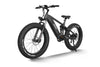 Himiway Cobra Mountain E-Bike