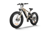 Himiway Cobra Mountain E-Bike