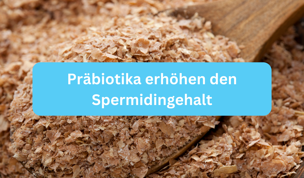 Präbiotika Pferdefutter