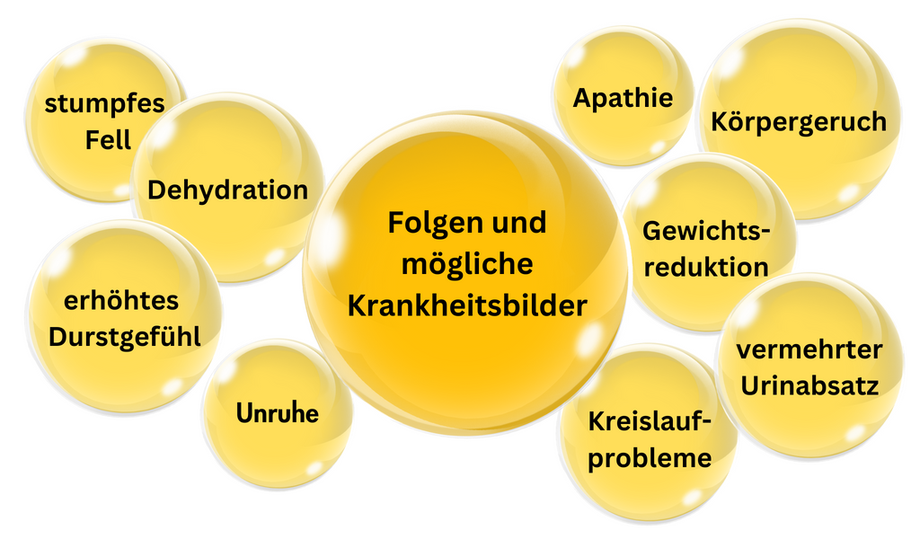 Nierenprobleme Pferd und Hund