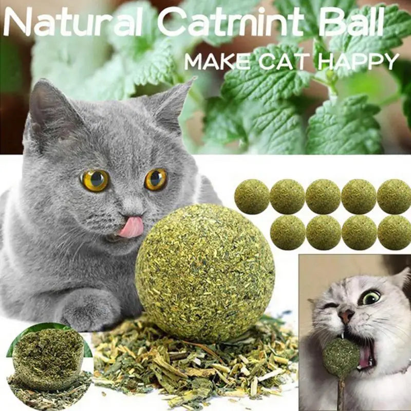 Pet Catnip Toys Edible Catnip Ball