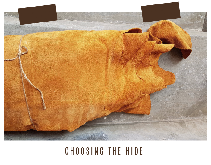 Choosing the hide