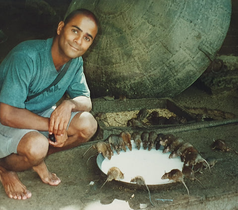 Carl in Indian Rat Temple