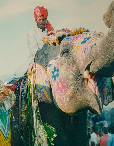 An elephant decorated with colourful flowers