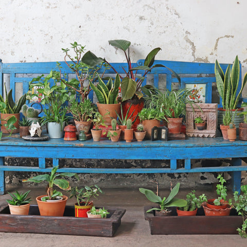 Handmade terracotta plant pots