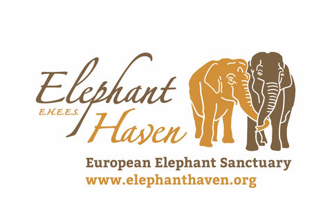 Elephant Haven