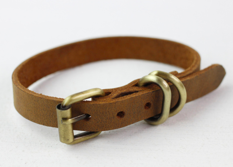 dog collars