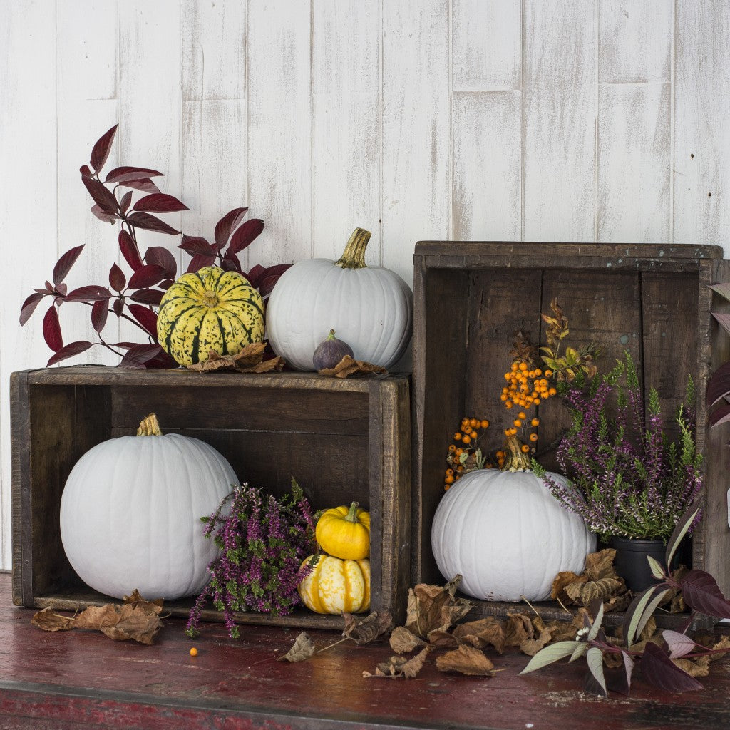 vintage wooden crates