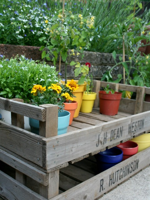 Vintage apple crates used in the garden to display potted plants