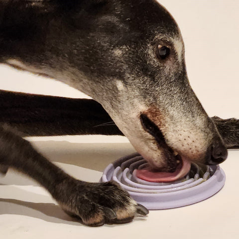 Greyhound licking nut butter off a disc-shaped dog enrichment toy (Lunoji Twirl Lick Mat)