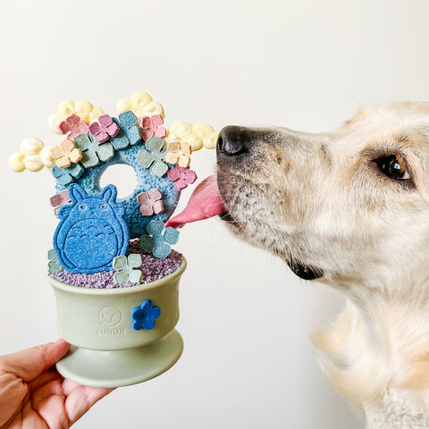 Golden retriever with her tongue sticking out as she licks a dog enrichment toy, creatively designed with cartoon elements.