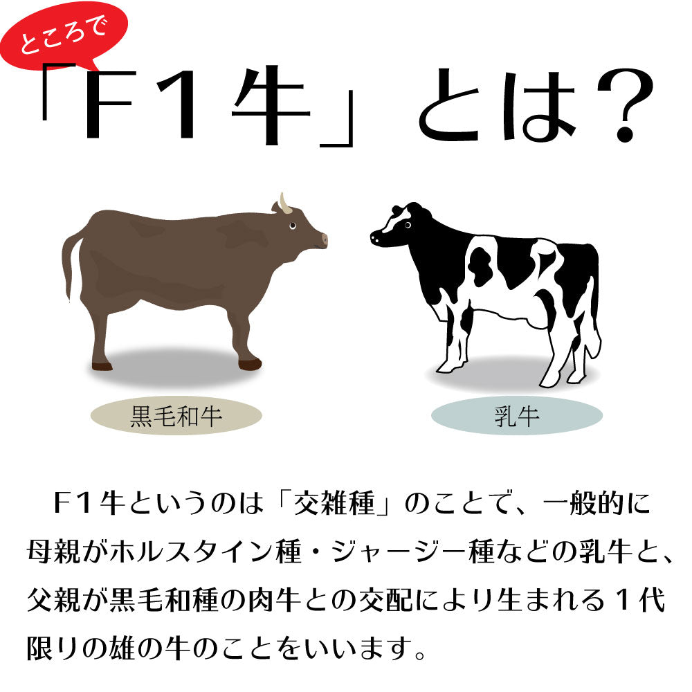 F1牛とは
