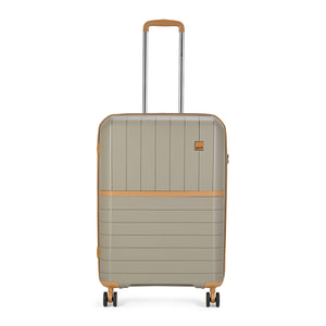 Check In Luggage VIP Bags India