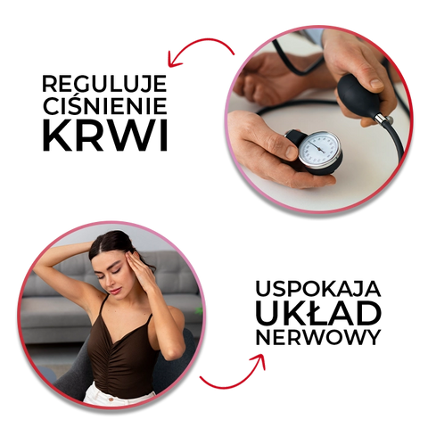 Główne korzyści ze stosowania