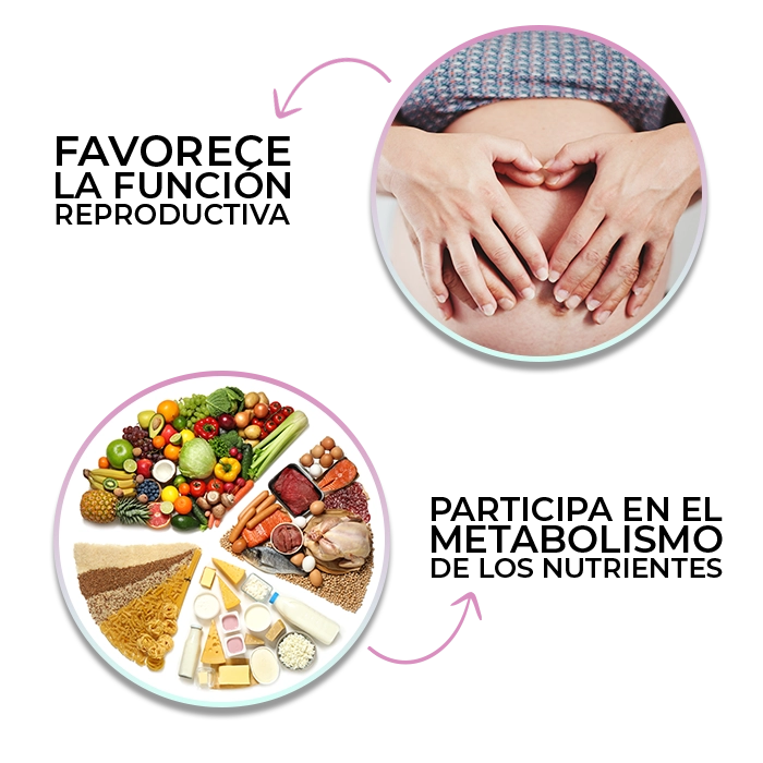 Beneficios del consumo de Zinc