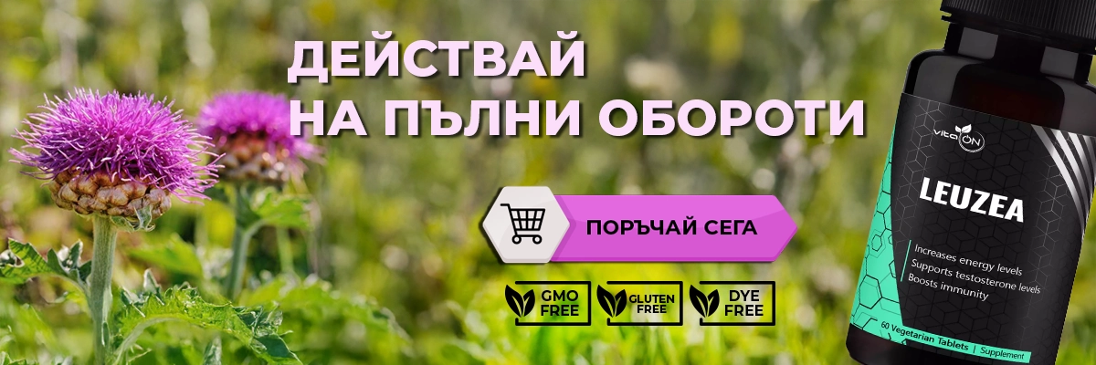 Левзея