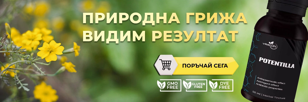 Пълзяща тинтява - билкова тинктура