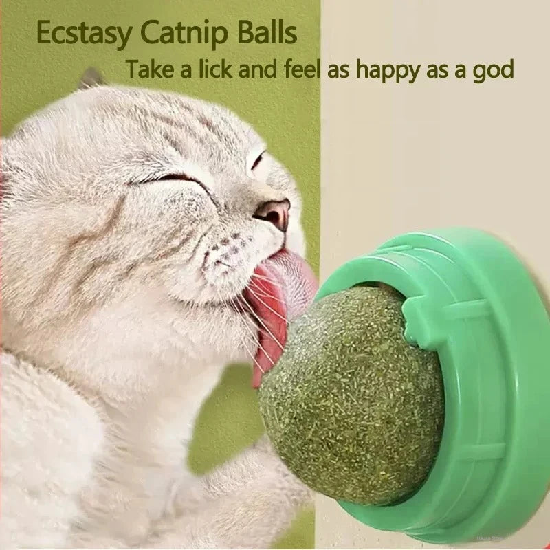 Natural Catnip Ball For Cat