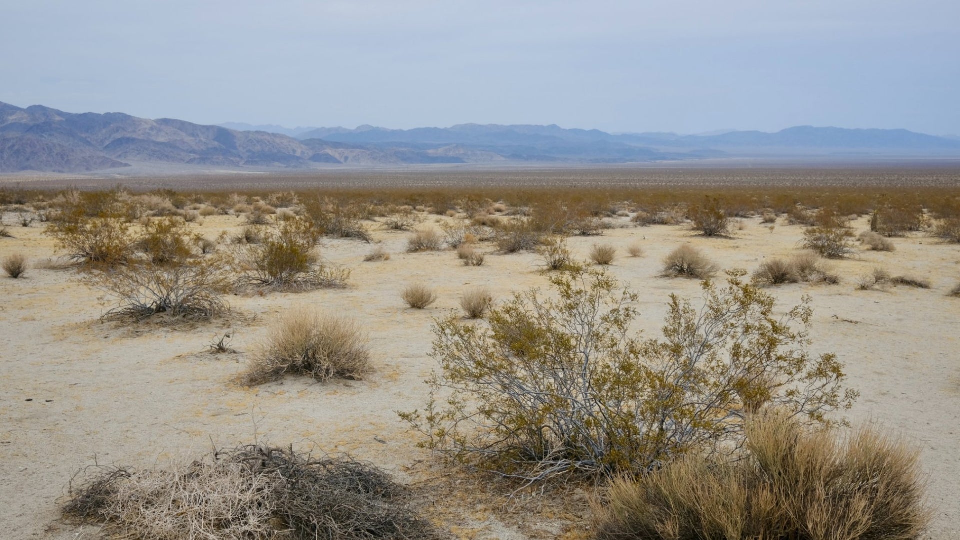 Sunfair Lakebed.  Sand and small scrub brush in foreground.  Mountains in background.