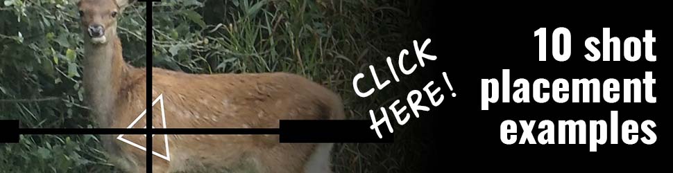 banner linking to the shot placement example article