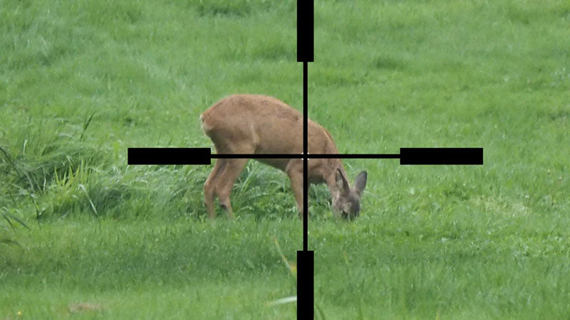 crosshairs on feeding deer