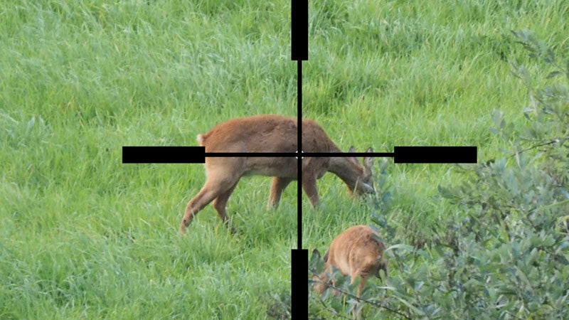 semi-quartering deer with crosshairs