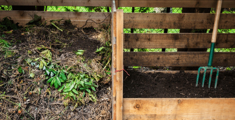 how to feed hedgehogs without attracting rats