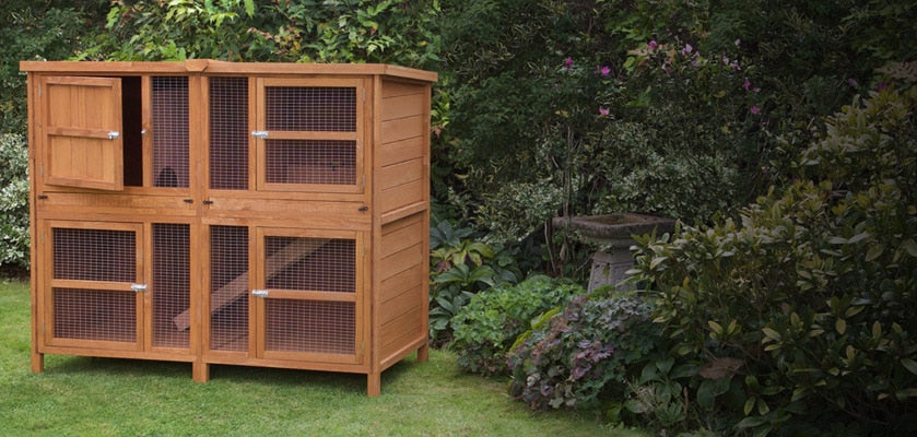 spacious outdoor rabbit hutch set up