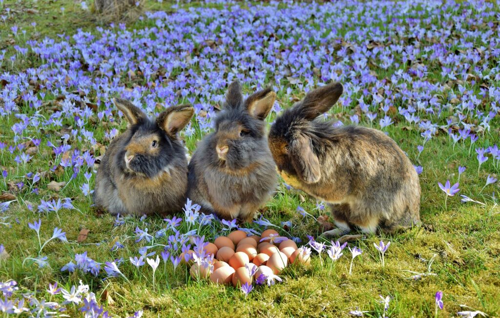 three longhair bunnies in a field of flowers with a pile of easter eggs