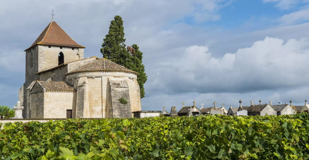 Graves Wines Vineyard Ultimate Bordeaux Guide