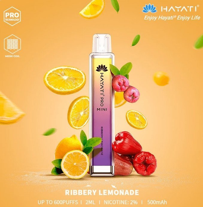 Hayati Mini Pro 600 Puffs Disposable Vape Pod - Vape Villa