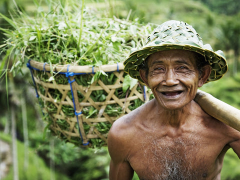 Balinese farmer, best face oil