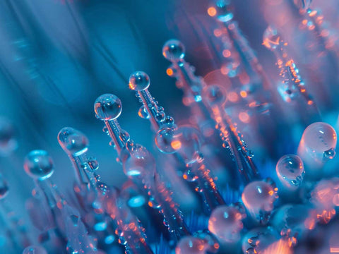 Macro Shot of Nylon Bristles On a Plastic Toothbrush