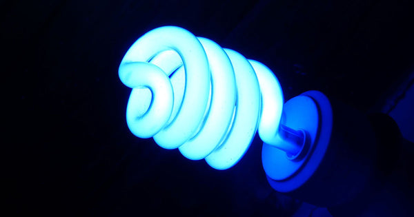 Low energy efficient blue light bulb