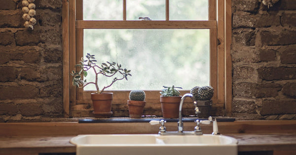 A picture of a sustainable home filled with plants in front of the window