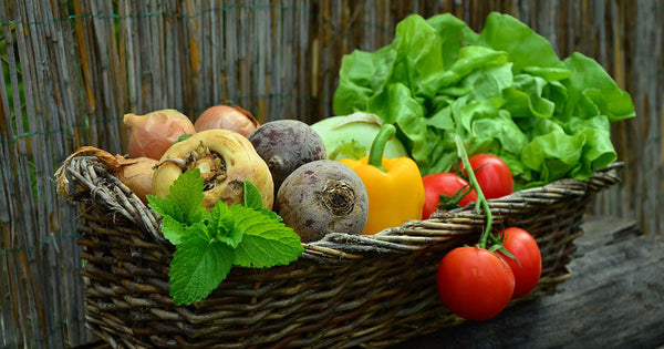 A basket of organic and fresh vegetables