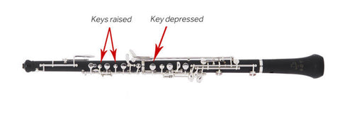 oboes explained