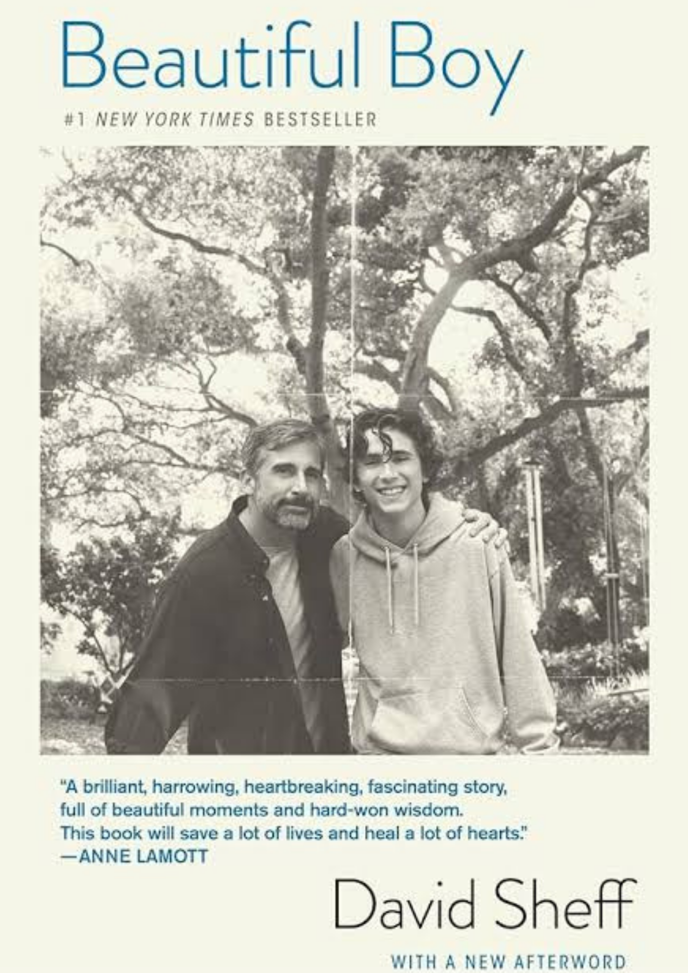 Front cover of 'Beautiful Boy' by David Sheff.