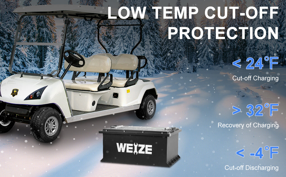 Golf Cart Battery
