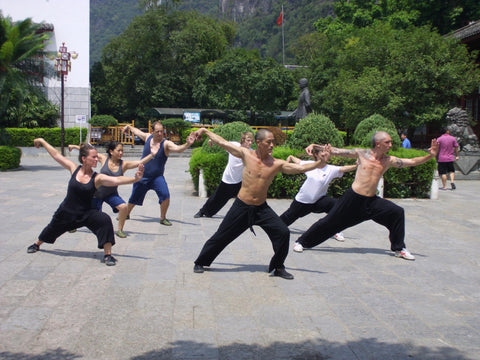 Kung fu bu di zhen