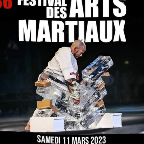 36ème festivale des arts martiaux Bercy