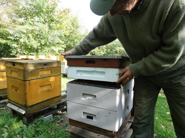 Heather honey from the Lower Silesian forests