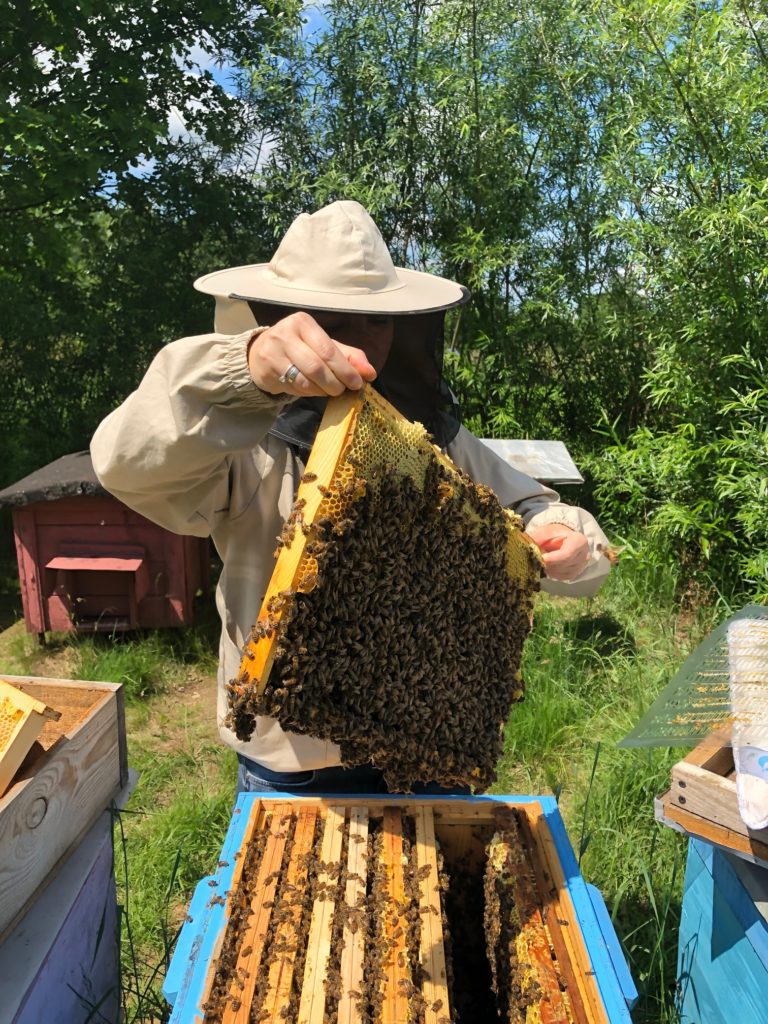 Honigklumpen im Bienenhaus