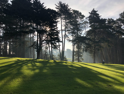 A green golf course, with the sun shining through the trees