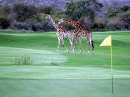 South Africa is Leopard Creek Country Club