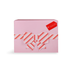 2025 Advent Calendar - 12 Day Countdown - Palm Place