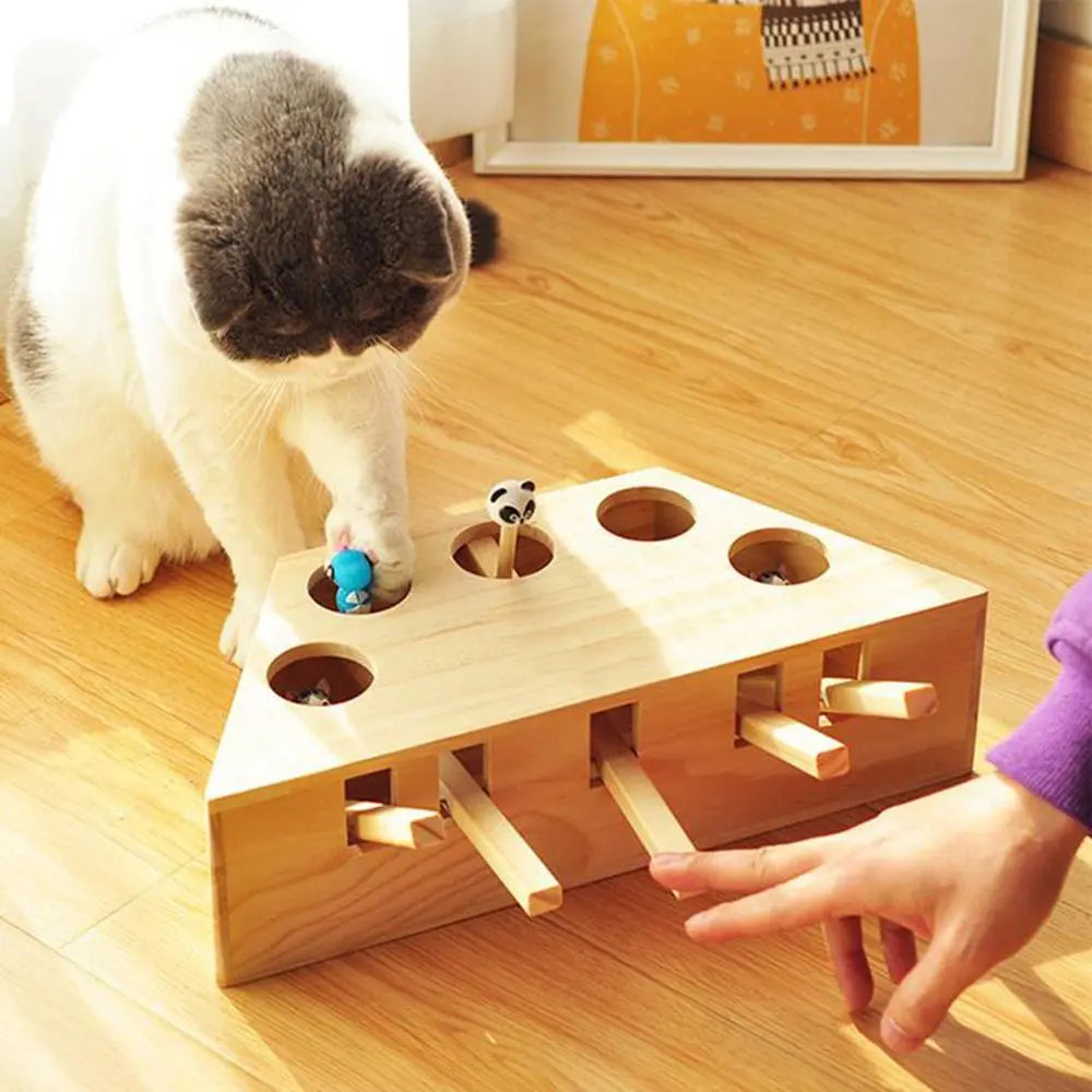 Interactive Cat Play Toy