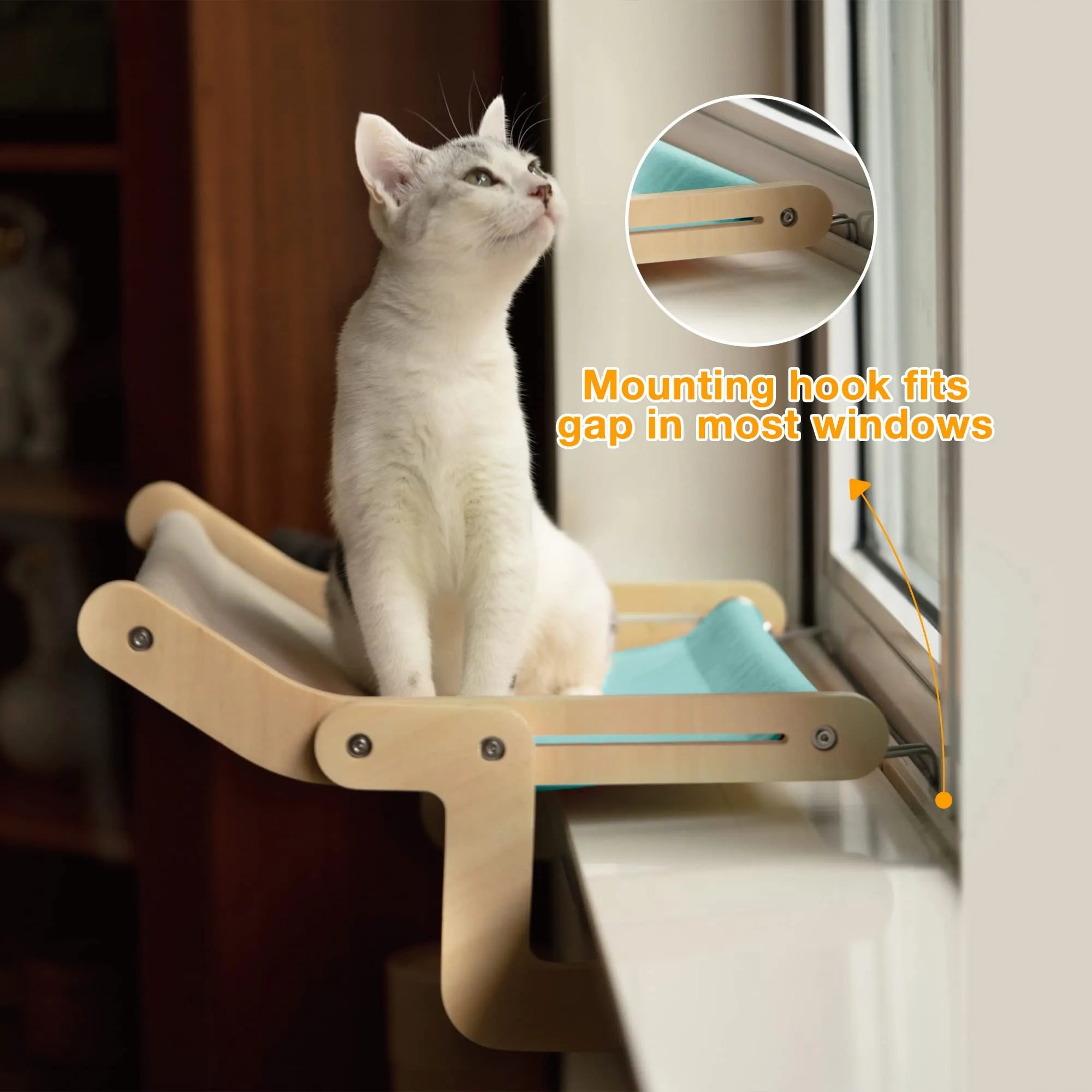 Cats Loop cover image