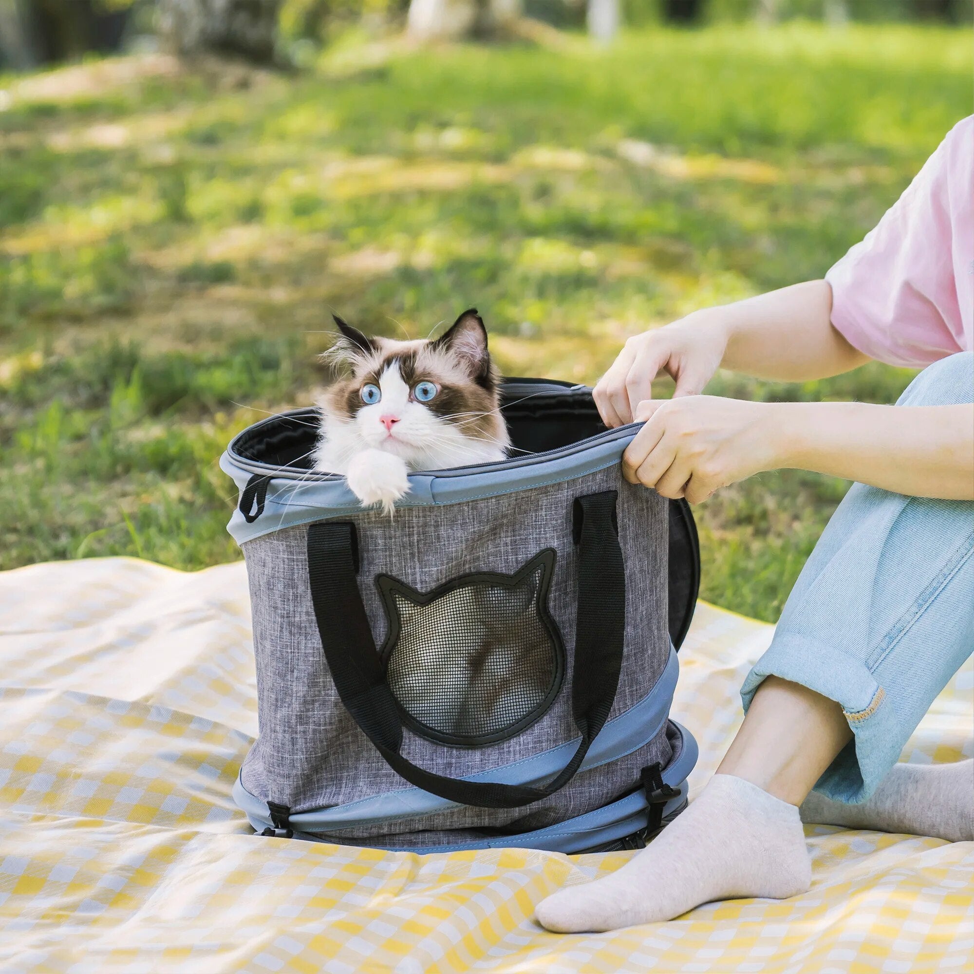 3 In 1 Portable Cat Travel Bag
