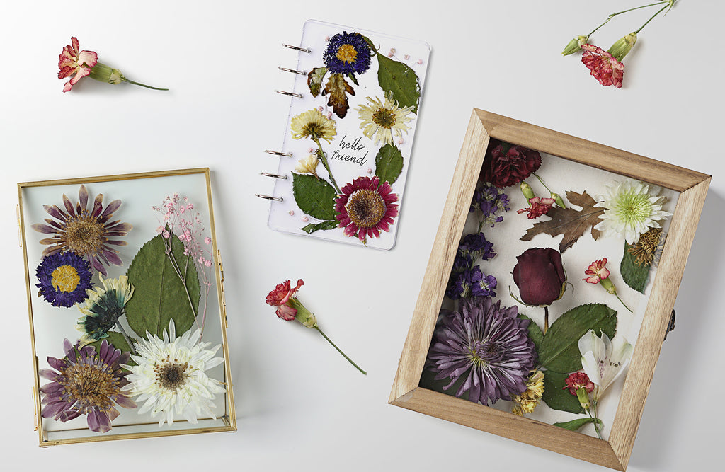 how to care for preserved flower